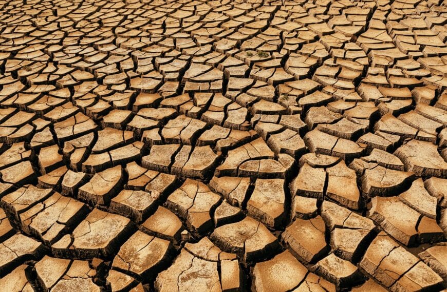 Küresel Isınma Nasıl Önlenir? Bireyden Sisteme Uzanan Çözüm Yolları