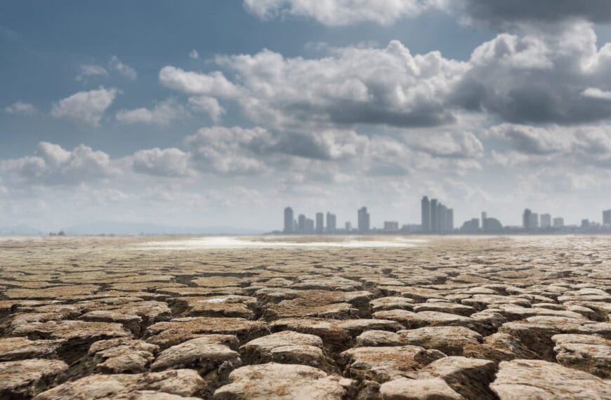 Karbon Ayak İzi Nasıl Azaltılır?