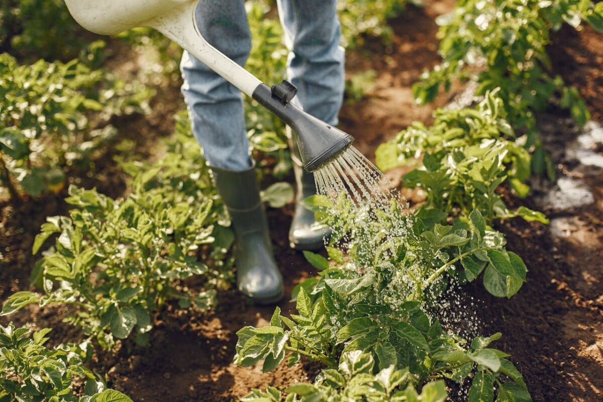 Agrokimya: Modern Tarımın Kimyasal Temelleri, Kullanım Alanları ve Geleceğe Etkileri