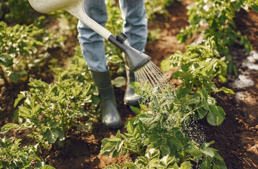 Agrokimya: Modern Tarımın Kimyasal Temelleri, Kullanım Alanları ve Geleceğe Etkileri